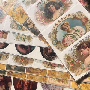 Brier Rose Sticker Collection